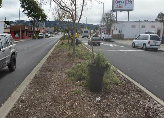 Cutting Median